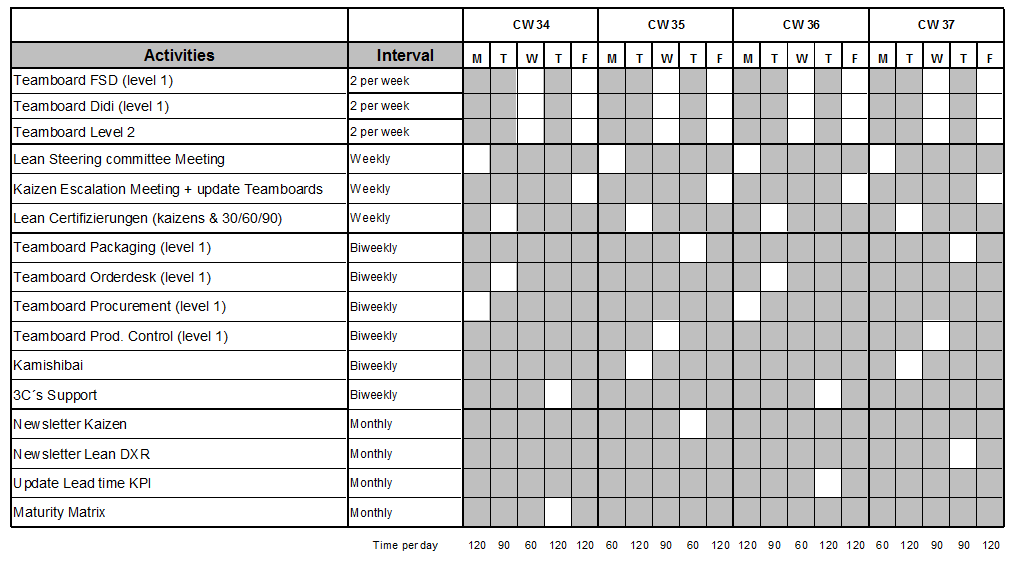 leaders standard work template