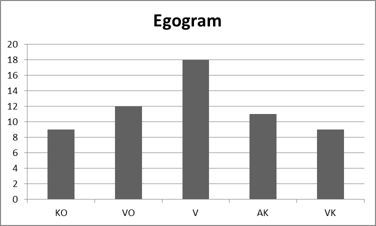 Egogram voorbeeld