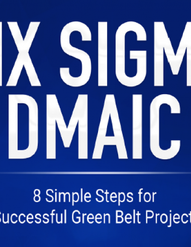 Six Sigma DMAIC - T.Panneman & D.Stemann