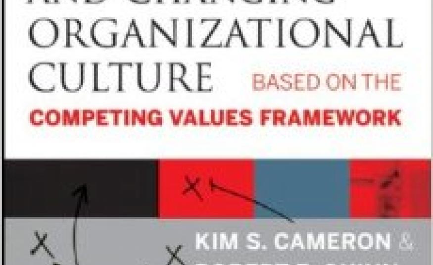 Diagnosing And Changing Organizational Culture