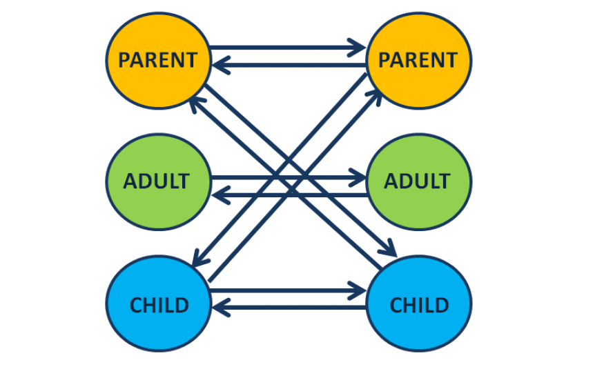 Transactional Analysis: Egotoestanden