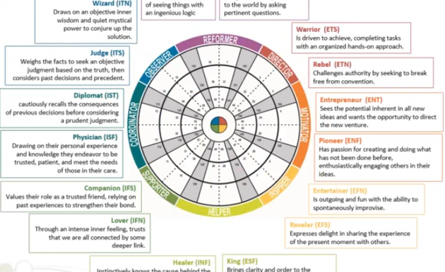 insights-discovery-deel-3-de-16-rollen-mudamasters