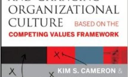 Diagnosing And Changing Organizational Culture