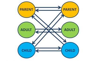 Transactional Analysis: Egotoestanden