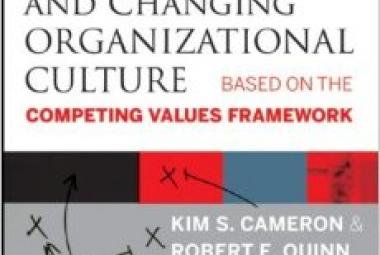 Diagnosing And Changing Organizational Culture