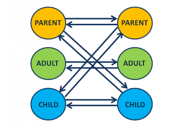 Transactional Analysis: Egotoestanden